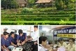 Chính sách mới có hiệu lực từ tháng 12/2016